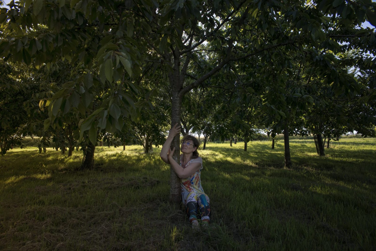 Béatrice, tree hugger, and her cherry hugged tree (Mayenne, 2017)
"Trees are not human beings, nor animals, nor dogs. I like trees for what they are: trees with mysteries, trees that can be found at the center of a meadow, at the end of a garden, on the side of a street..."
"Les arbres ne sont ni des êtres humains, ni des animaux, ni des dieux. J'aime les arbres pour ce qu'ils sont, des arbres dans leur mystère et leur évidence d'arbres au centre d'un pré, au fond d'un jardin, au coin d'une rue."