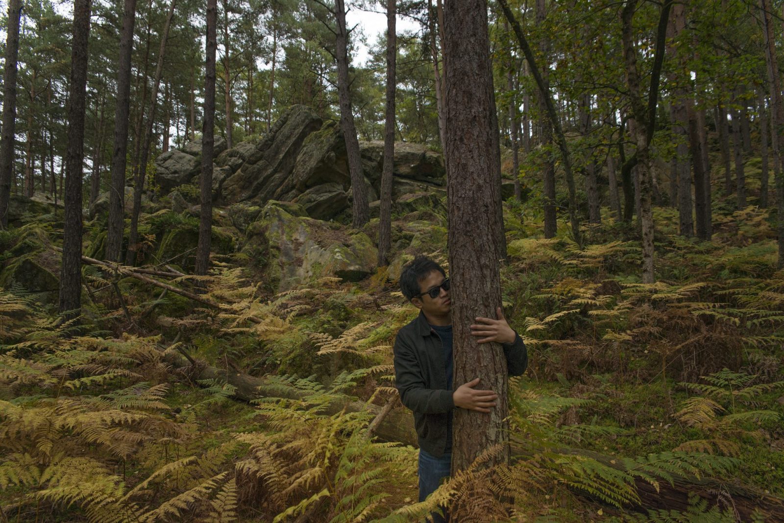 Etienne, tree hugger, and his pine hugged tree (Fontainebleau, 2017)